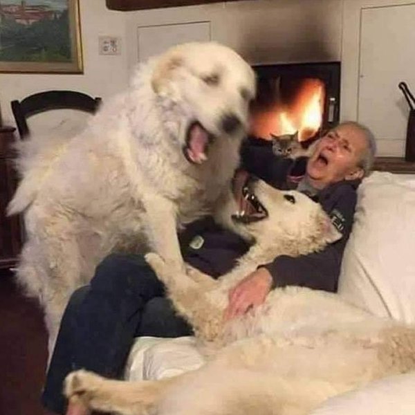 Thumbnail of p-cpn9sewg4uu-1494ee6745a04dee 0