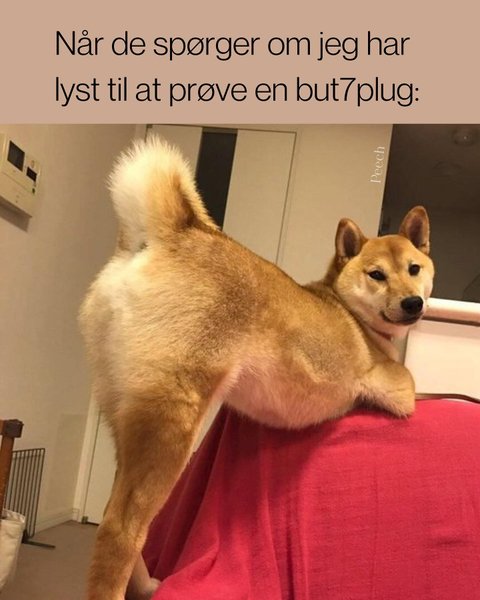 Thumbnail of p-cklypwas4cf-14950db7c0924ffa 8