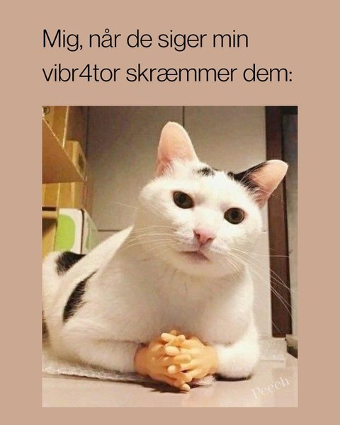 Thumbnail of p-cklypwas4cf-14950db7c0924ffa 9