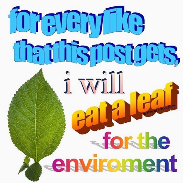 Thumbnail of p-bzjdwh9lksg-14a5b8cd3b1442b7 0