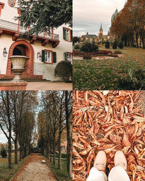 Thumbnail of p-ckzr6x9tszt-14b0aaa8058045c3 8