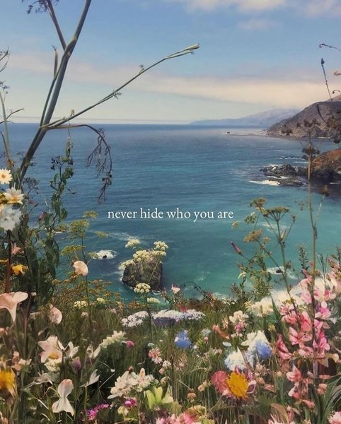 Thumbnail of p-c5mk9giitll-14d3ceb65b2749e3 0