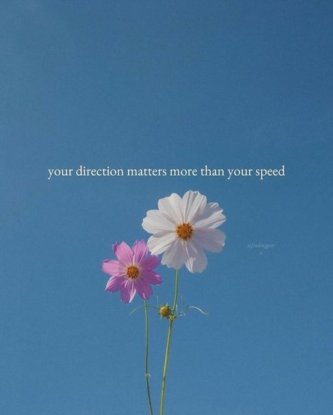 Thumbnail of p-c5mk9giitll-14d3ceb65b2749e3 4