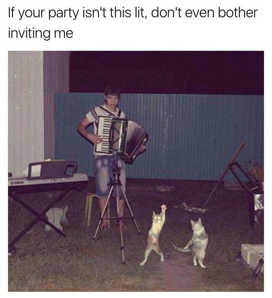 Thumbnail of p-bt7kjoaabgh-f8a87f5ad9e94259 0