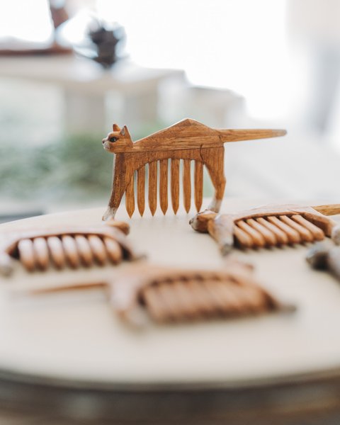 Thumbnail of p-dqd2s2qkw4u-1531245c1a004c26 0