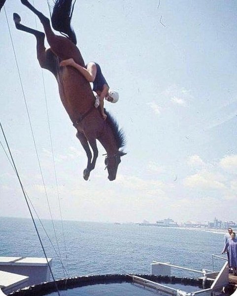 Thumbnail of p-c698lmxodqf-153ef4eb3d8b490f 0