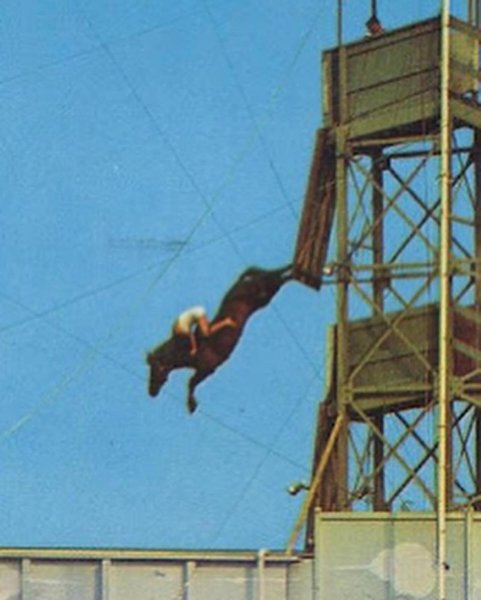 Thumbnail of p-c698lmxodqf-153ef4eb3d8b490f 1