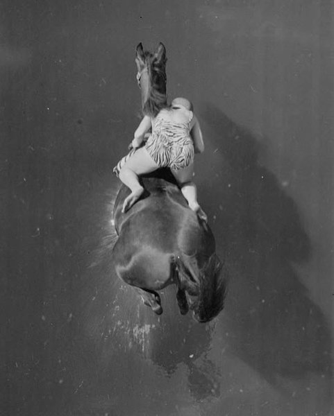 Thumbnail of p-c698lmxodqf-153ef4eb3d8b490f 3