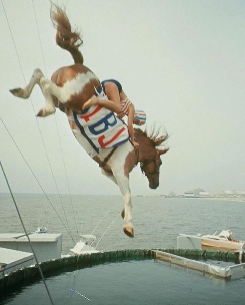 Thumbnail of p-c698lmxodqf-153ef4eb3d8b490f 4