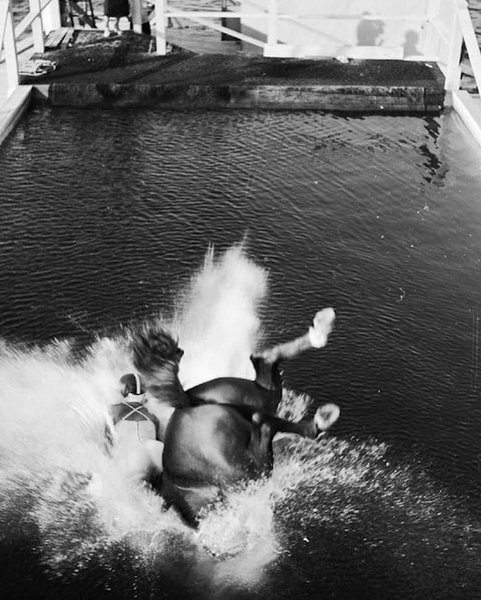 Thumbnail of p-c698lmxodqf-153ef4eb3d8b490f 5