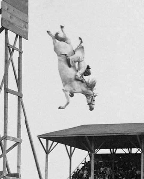 Thumbnail of p-c698lmxodqf-153ef4eb3d8b490f 6