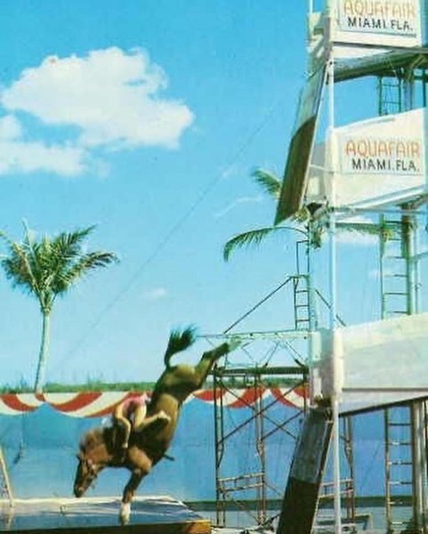 Thumbnail of p-c698lmxodqf-153ef4eb3d8b490f 7