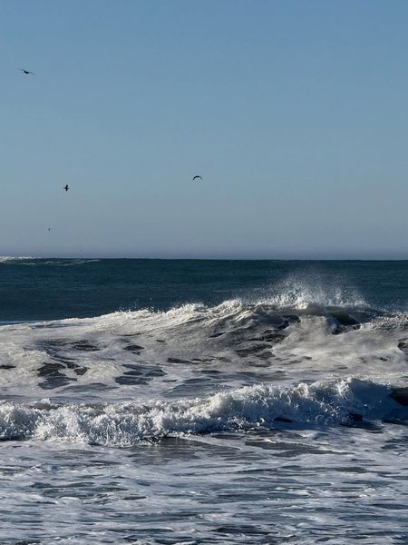 Thumbnail of www-instagram-com-p-dqfm-ovkswy-img-index-1 7