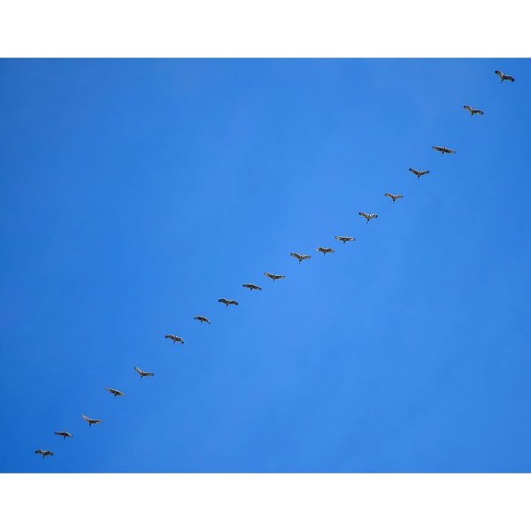 Thumbnail of www-instagram-com-p-drkqwhyd9og 4