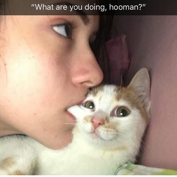 Thumbnail of bn-xepjxaj-15695738dae948e5 0