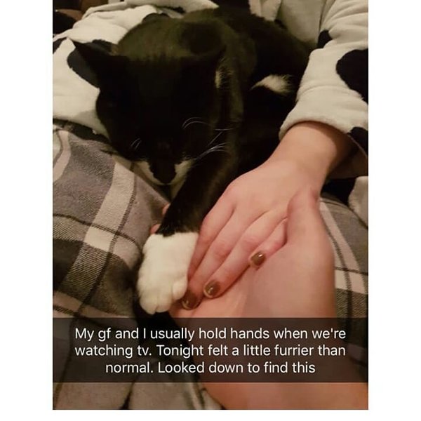 Thumbnail of bn-xepjxaj-15695738dae948e5 1