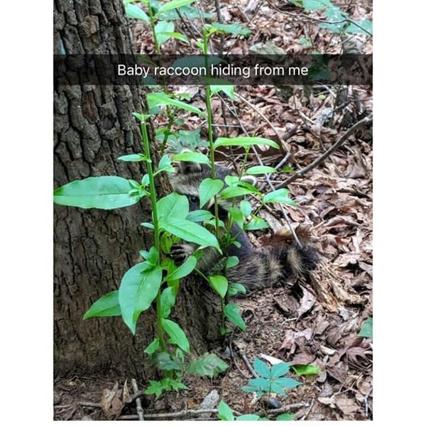 Thumbnail of bn-xepjxaj-15695738dae948e5 2