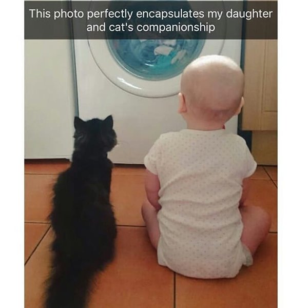 Thumbnail of bn-xepjxaj-15695738dae948e5 3