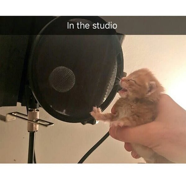 Thumbnail of bn-xepjxaj-15695738dae948e5 4