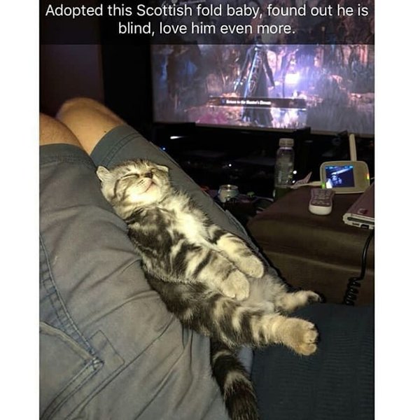 Thumbnail of bn-xepjxaj-15695738dae948e5 5