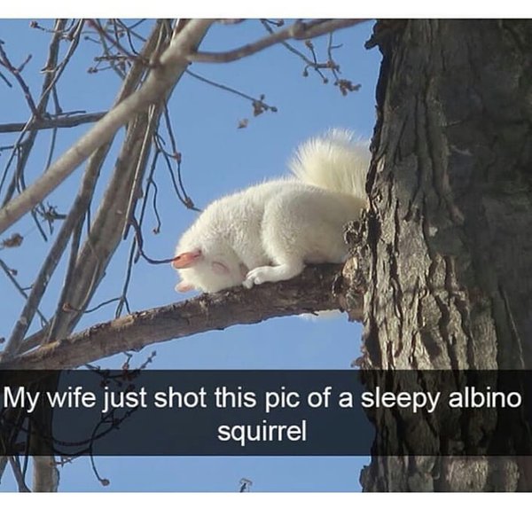 Thumbnail of bn-xepjxaj-15695738dae948e5 6