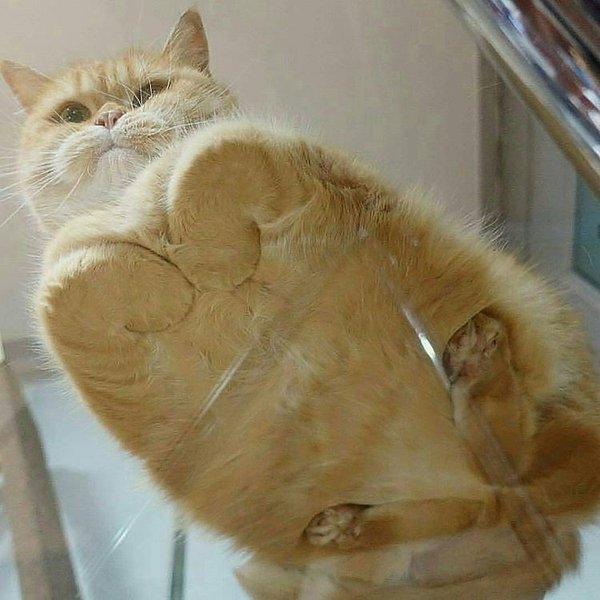 Thumbnail of bxbkhred-j-0ef89da8387045b9 0