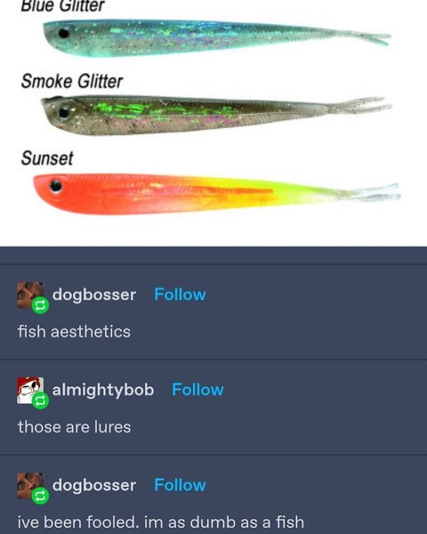 Thumbnail of cgxd-dcfwio-15a0f56e227a4cf6 0