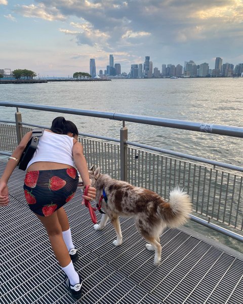 Thumbnail of p-chzr8purrdy-1619ab2fa26f462e 1