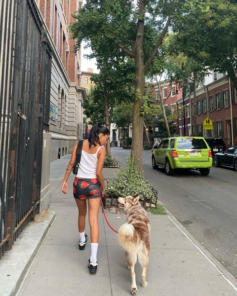 Thumbnail of p-chzr8purrdy-1619ab2fa26f462e 5