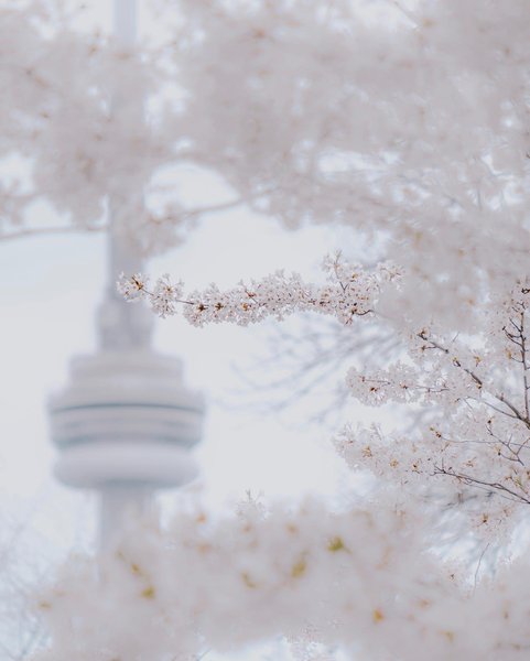 Thumbnail of crd-ertokyo-1699243c6ea5423c 2