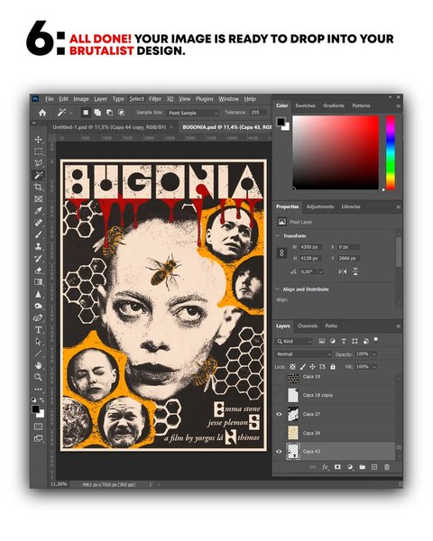 Thumbnail of www-instagram-com-p-drhuzcgdacc-img-index-6 6