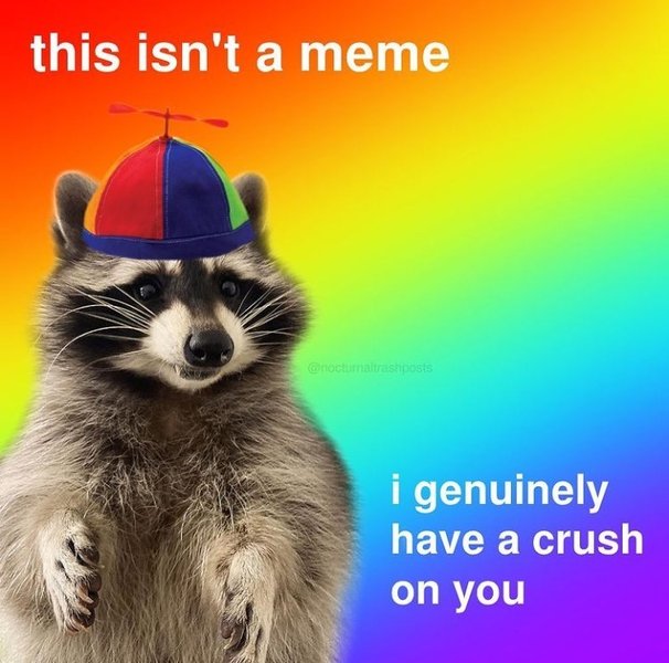 Thumbnail of p-camw6lwmmga-16bbf46c6caa4463 0