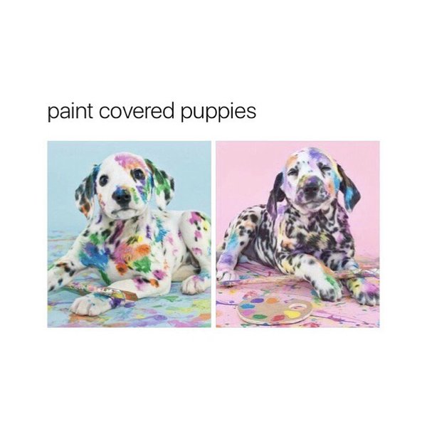 Thumbnail of p-brtq4ynhn1j-16d4f0a1cfa743b5 0