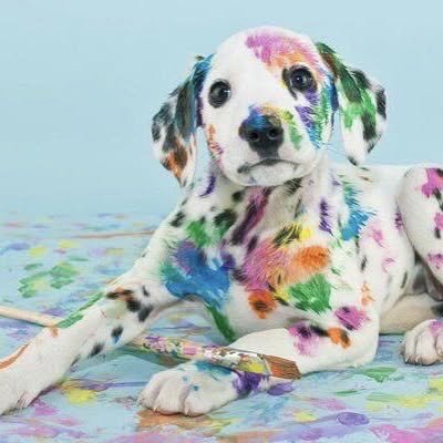 Thumbnail of p-brtq4ynhn1j-16d4f0a1cfa743b5 1