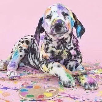 Thumbnail of p-brtq4ynhn1j-16d4f0a1cfa743b5 2