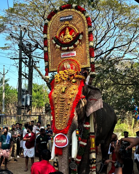 Thumbnail of p-c2lixisp4rs-16e9bb139b7449eb 1