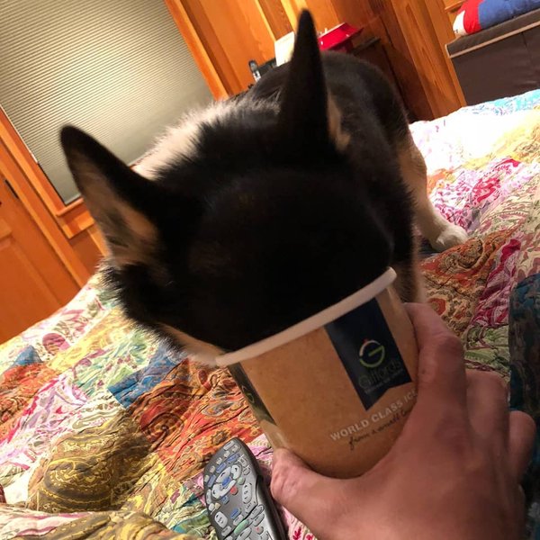 Thumbnail of n-lcgb-16ecd81867ef4992 0