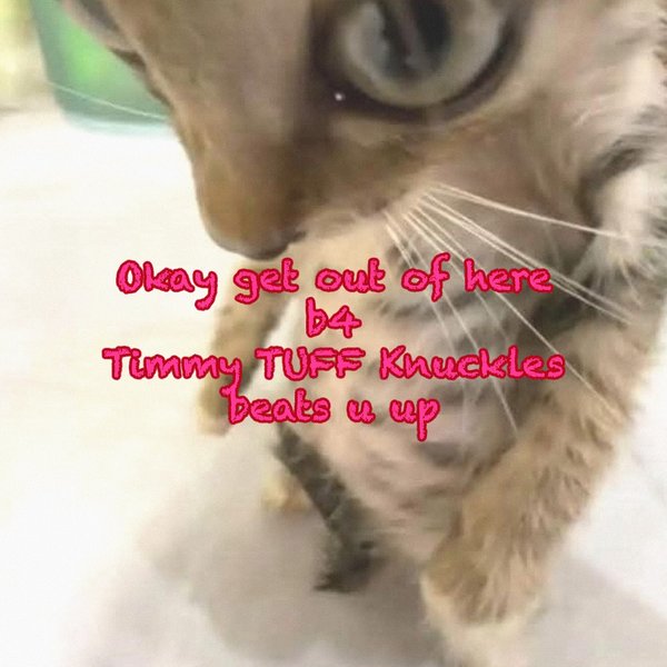 Thumbnail of p-dixvshzy3k7-17012e2d8e4e4318 7