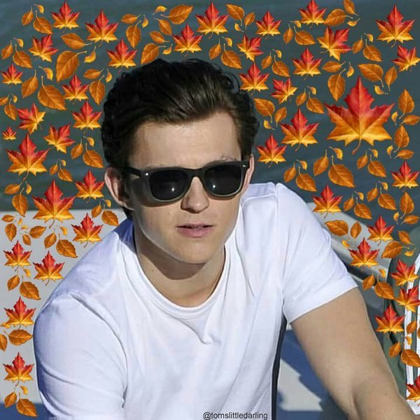 Thumbnail of p-bohlywjfltw-1702633eea76431a 7