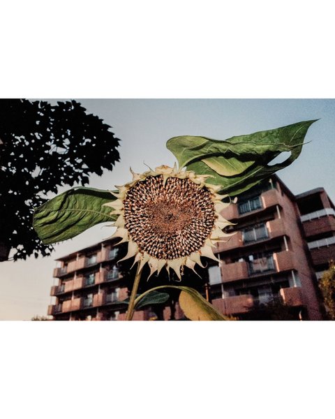 Thumbnail of dl9pv-lvkvx-17102d0fdddd45c1 3