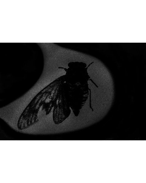 Thumbnail of dl9pv-lvkvx-17102d0fdddd45c1 6