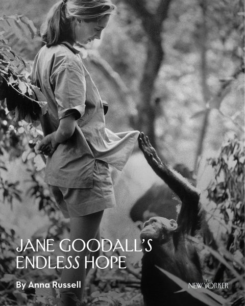 Thumbnail of p-dpsem5kgvz7-173aca70c81b401c 0