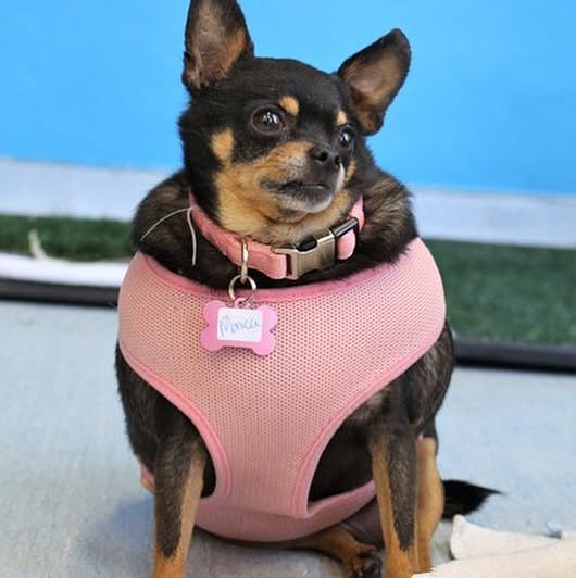 Thumbnail of p-beijg3zabuj-176abefb302a4ec0 0