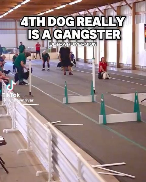 Thumbnail of c8e8b-oy3w-177de44f1fce47eb 8