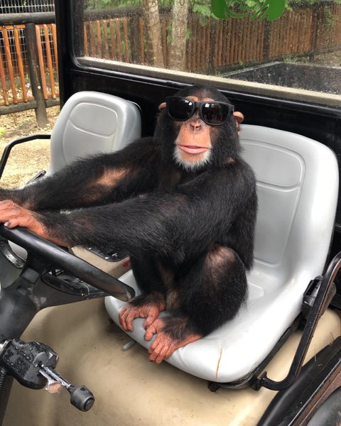 Thumbnail of cfpm3-ld5x4-17b5138389b54529 0