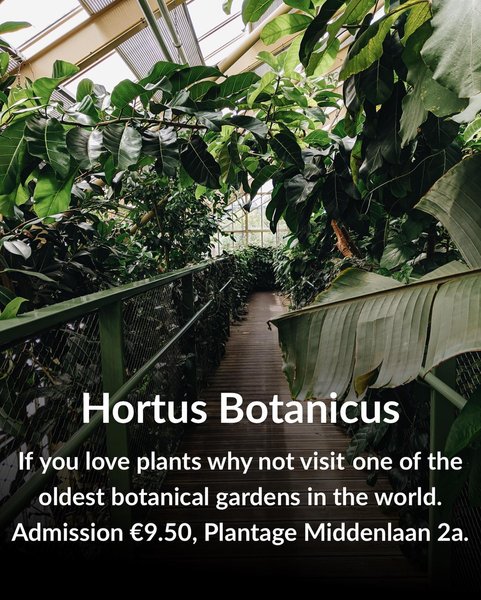 Thumbnail of p-cbjcvnesu3m-17b602c18a3c436e 2