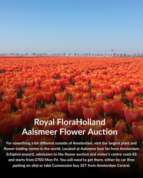 Thumbnail of p-cbjcvnesu3m-17b602c18a3c436e 7