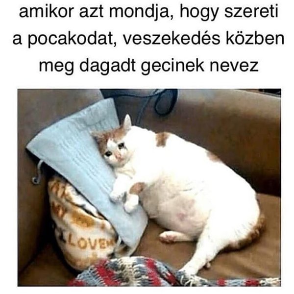 Thumbnail of p-bpmtsbbfn0g-17b9acc0167344ae 0