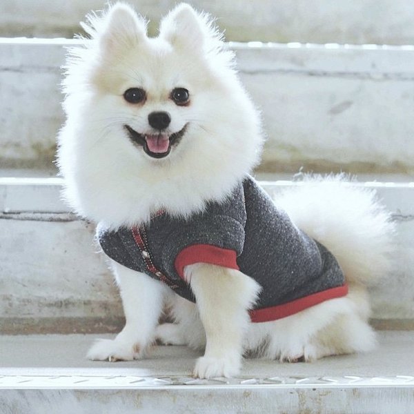 Thumbnail of bz52-kcfi3-17ce27d180a945b7 0