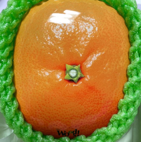 Thumbnail of p-c5ngzcpqblj-180e825d6f4c404f 2